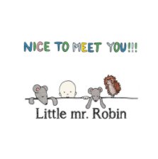 Nice to Meet You, Little mr. Robin book cover