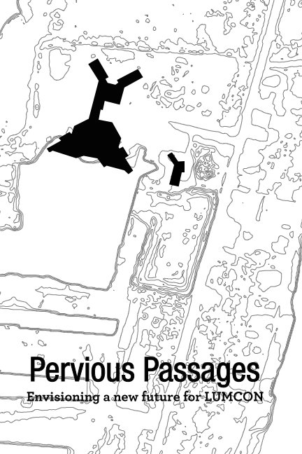 Visualizza Pervious Passages di Julie Olson