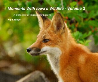Moments With Iowa's Wildlife - Volume 2 book cover