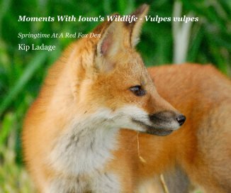 Moments With Iowa's Wildlife - Vulpes vulpes book cover