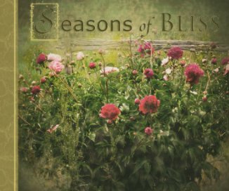 Seasons Of Bliss book cover