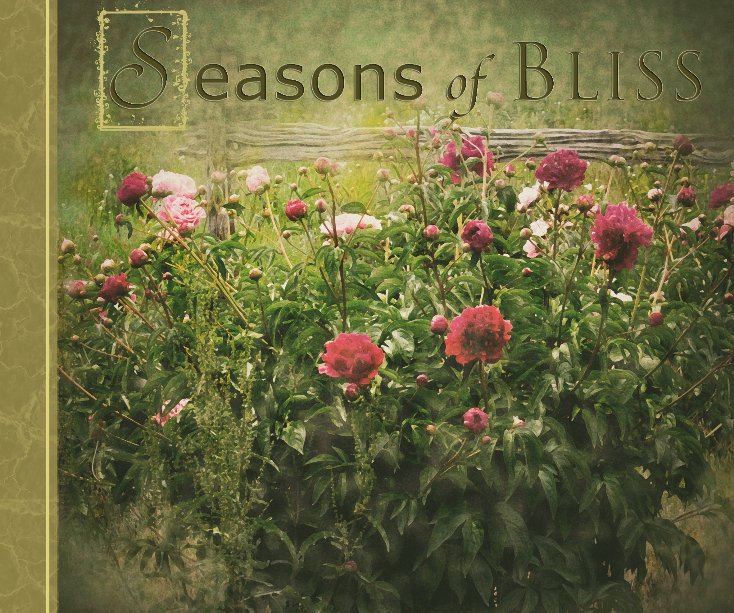Visualizza Seasons Of Bliss di Debbe Maynard Behnke