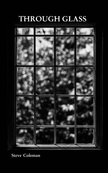 View Through Glass by Steve Coleman