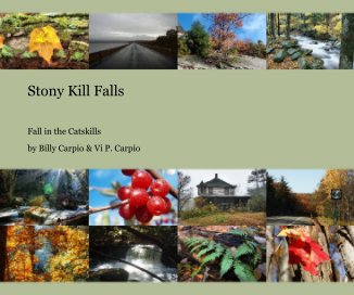 Stony Kill Falls book cover