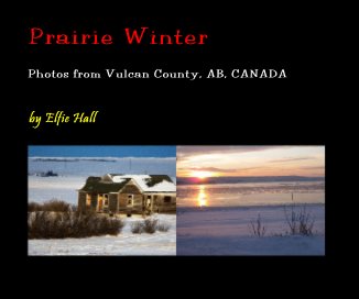 Prairie Winter book cover