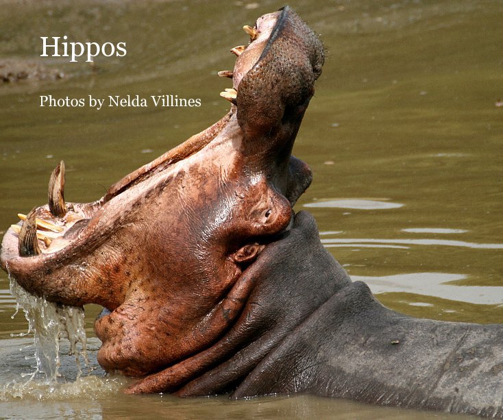 Ver Hippos por Nelda Villines