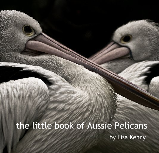 View the little book of Aussie Pelicans by Lisa Kenny