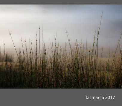 Tasmania 2017 book cover