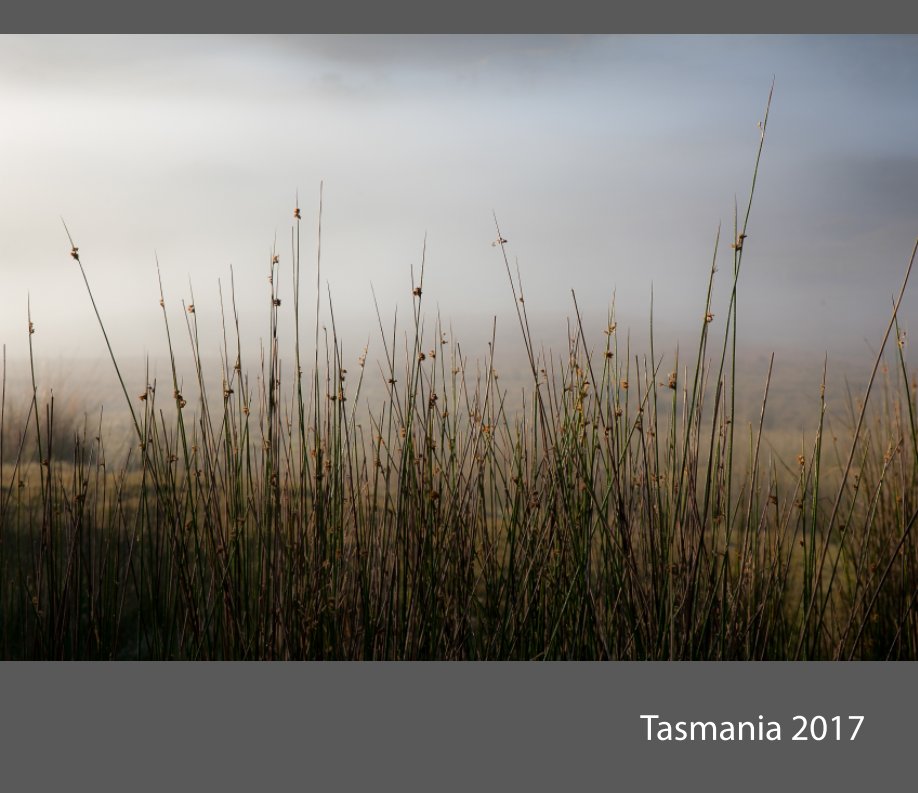 Ver Tasmania 2017 por Julian Stevenson