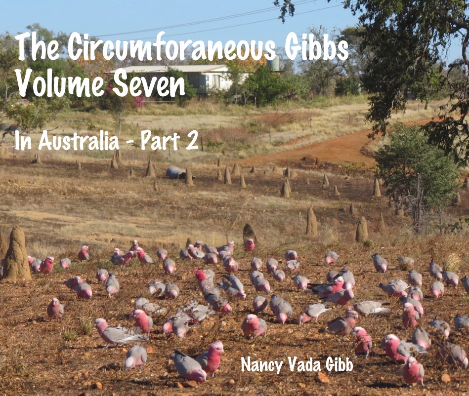 Bekijk The Circumforaneous Gibbs Volume Seven op Nancy Vada Gibb