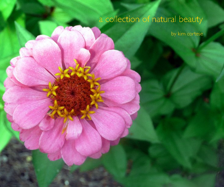 Ver a collection of natural beauty por by kim cortese