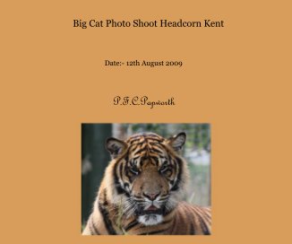 Big Cat Photo Shoot Headcorn Kent book cover