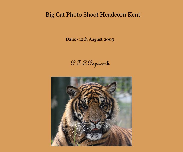 Ver Big Cat Photo Shoot Headcorn Kent por P.F.C.Papworth