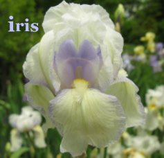 iris book cover