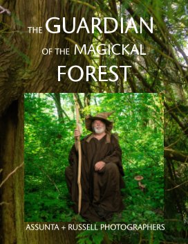 The Guardian of the Magickal Forest book cover