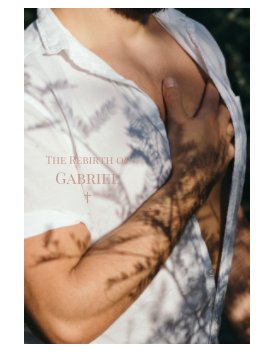The Rebirth of Gabriel book cover