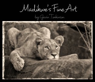 Madikwe's Fine Art book cover