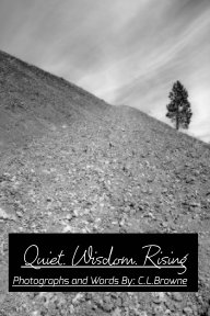 Quiet. Wisdom. Rising book cover