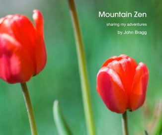 Mountain Zen book cover