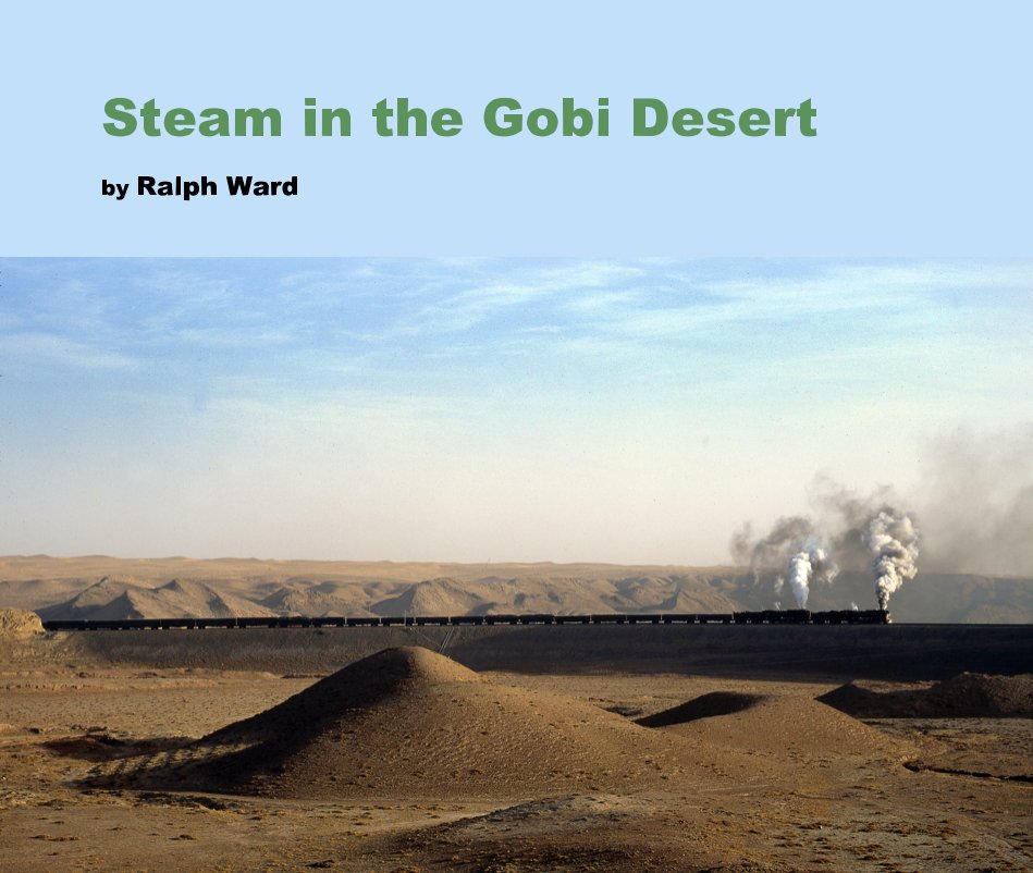 View Steam in the Gobi Desert by Ralph Ward