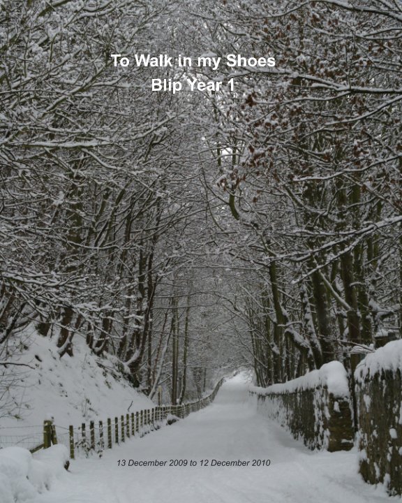 View To Walk in My Shoes - Blip year 1 by SJG Walker