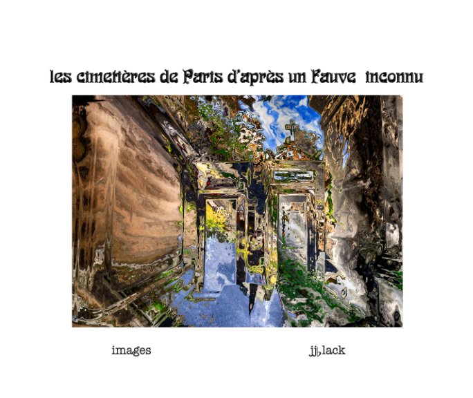Visualizza Les Cimetières de Paris Apres Un Fauve Inconnu di jjblack