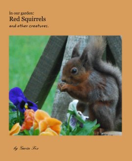 in our garden: Red Squirrels and other creatures. book cover