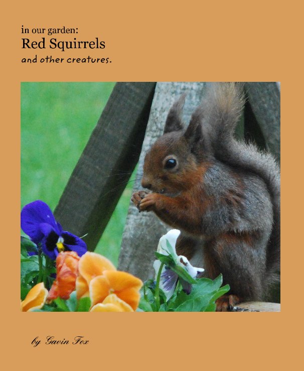 Ver in our garden: Red Squirrels and other creatures. por Gavin Fox