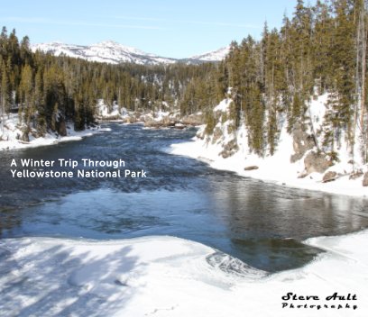 A Winter Trip Through Yellowstone National Park book cover