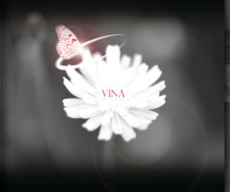 Vina book cover