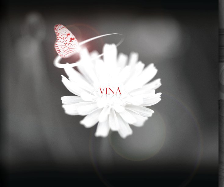 View Vina by Jimmy Le