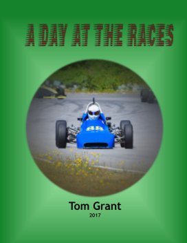 A Day at the Races book cover