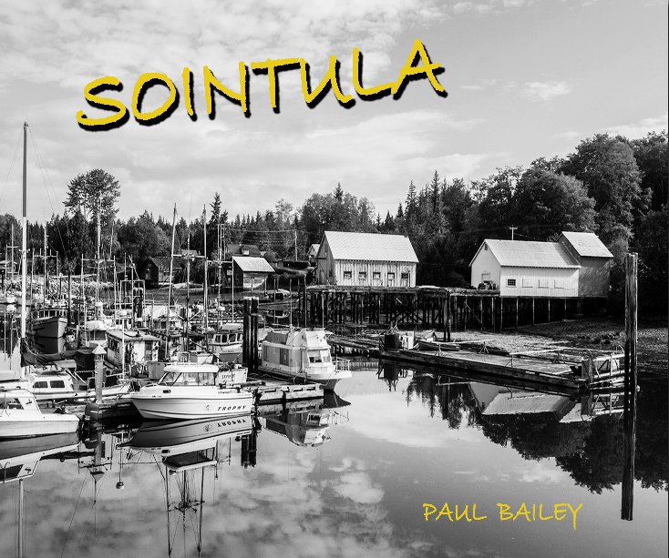 Visualizza SOINTULA di PAUL  BAILEY