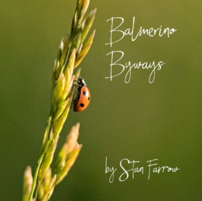 Balmerino Byways book cover