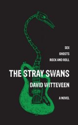 The Stray Swans book cover