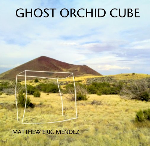 View GHOST ORCHID CUBE by MATTHEW ERIC MENDEZ