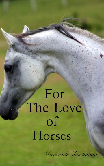 View For the Love of Horses by Devorah Shoshanna