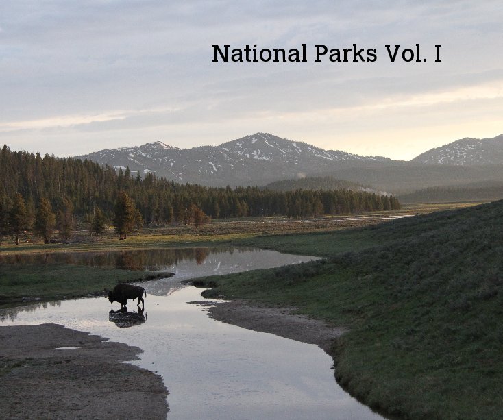 View National Parks Vol. I by Designed By Carrie Pauly