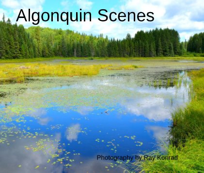 Algonquin Scenes book cover