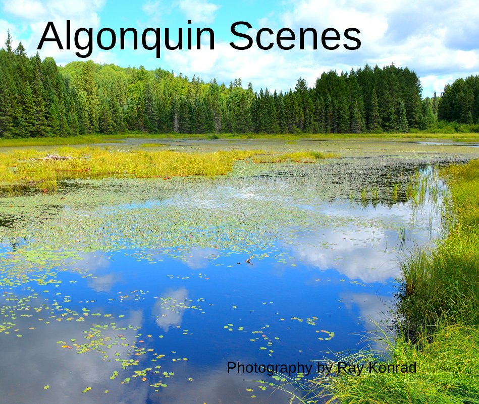 View Algonquin Scenes by Ray Konrad