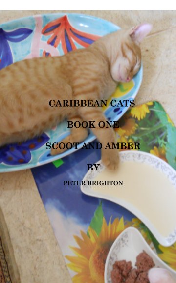 View CARIBBEAN CATS BOOK ONESCOOT AND AMBER by PeterBrighton