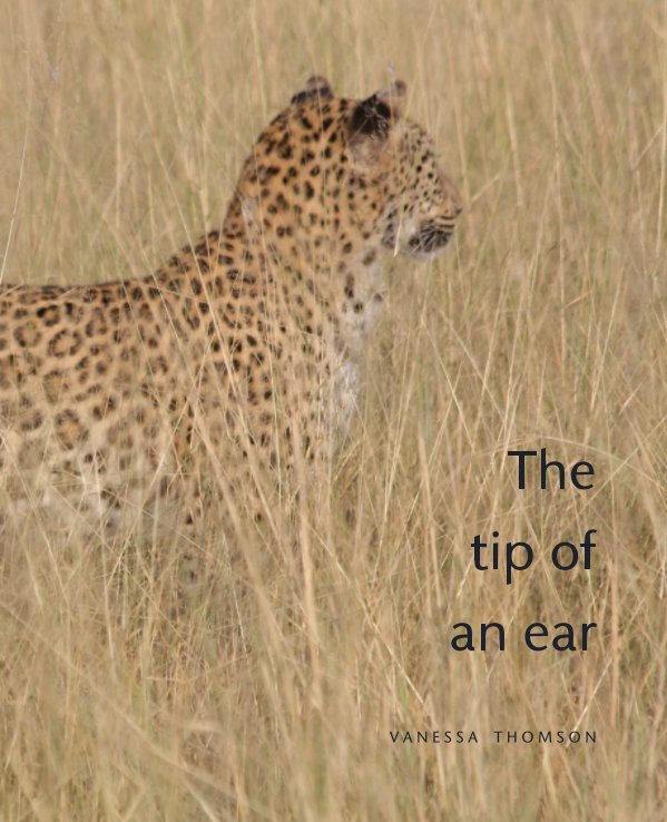 View The Tip of an Ear by Vanaessa Thomson