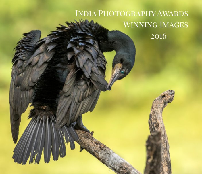 View India Photography Awards by Bhanu Devgan