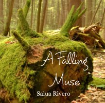 A Falling Muse book cover