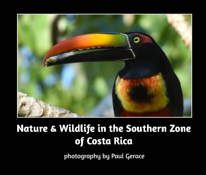 Nature and Wildlife in the Southern Zone of Costa Rica book cover