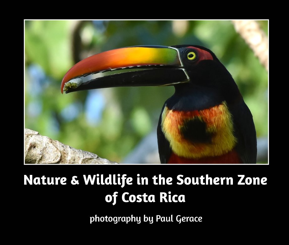 Ver Nature and Wildlife in the Southern Zone of Costa Rica por Paul Gerace
