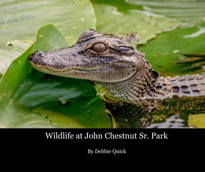 View Wildlife at John Chestnut Sr. Park by Debbie Quick