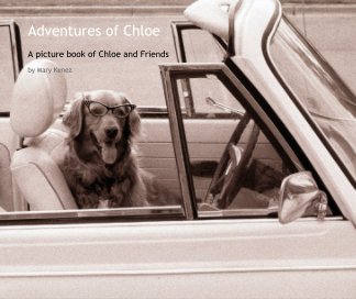 Adventures of Chloe book cover