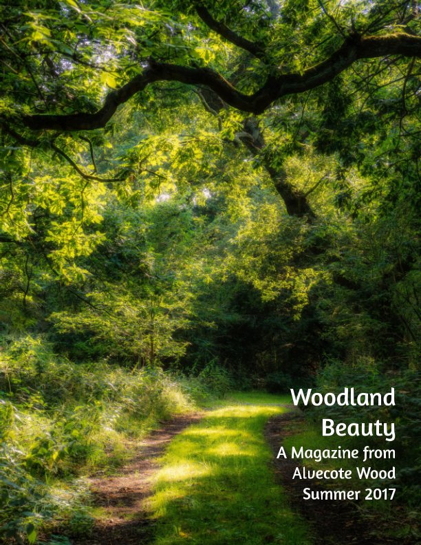 View Alvecote Wood Magazine by Alvecote Wood, Sarah Walters, Stephen Briggs