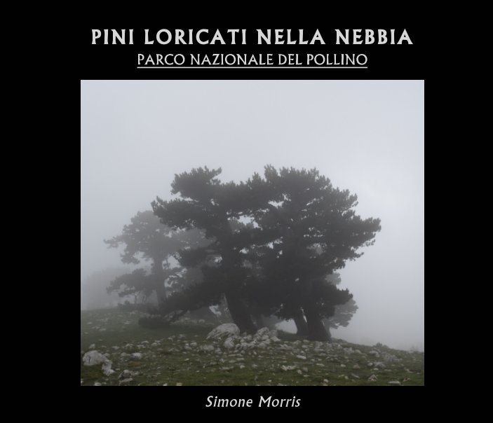Visualizza Pini Loricati nella nebbia di Simone Morris